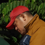 Avatar pengguna